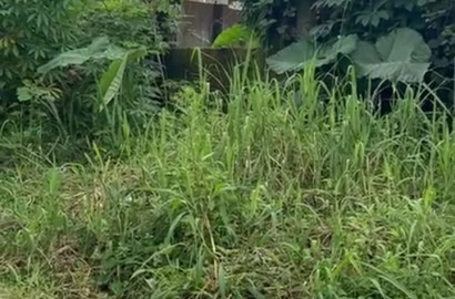 Land for sales, 801sqms plot of land in Akwa savings and loans Estate,uyo Akwa ibom state.