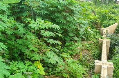 Land for sale Obio Ibiet off Ikot Okoro road, Abak Akwa Ibom State