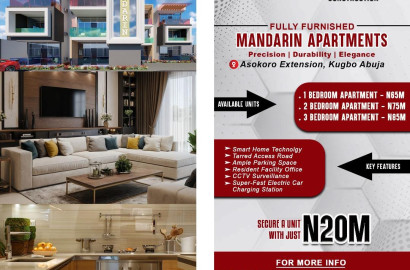 FULLY FURNISHED MANDARIN APARTMENT, ASOKORO EXTENSION KUGBO ABUJA
